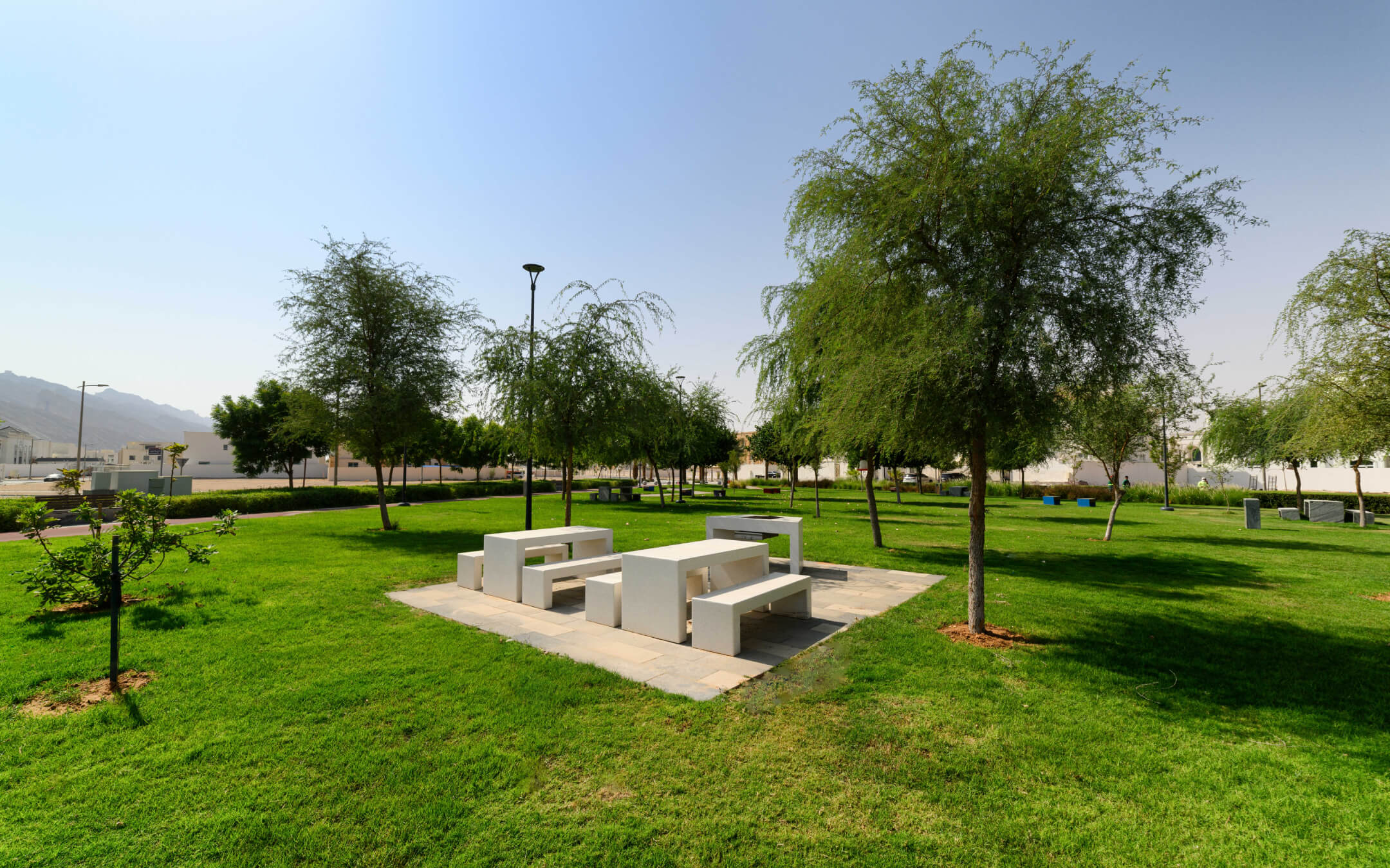 Al Ain Municipality | Bloom Landscape